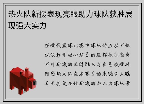 热火队新援表现亮眼助力球队获胜展现强大实力